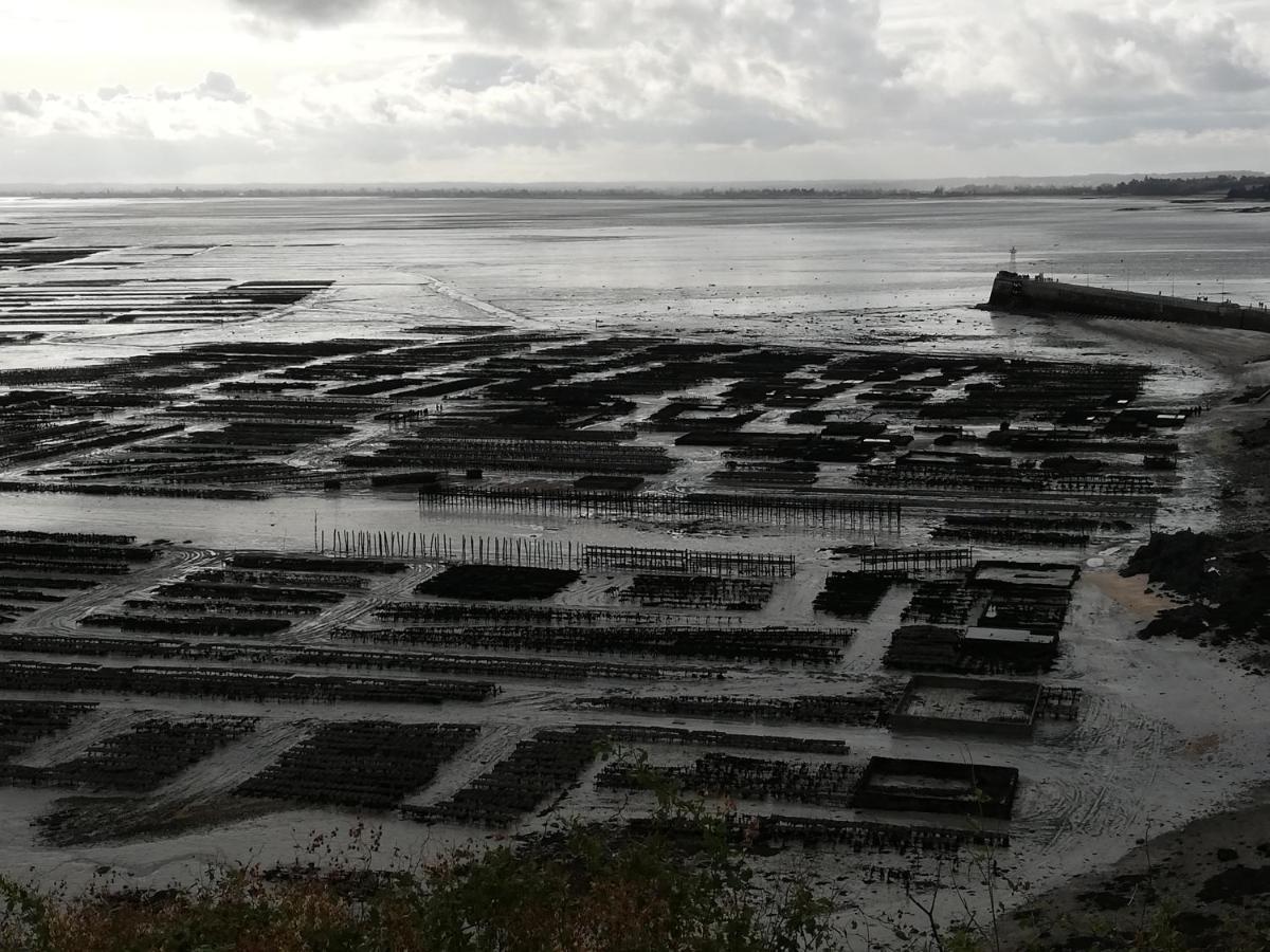 Chambres D'Hotes Les Fleurettes En Baie Du Mont Saint Michel Екстериор снимка